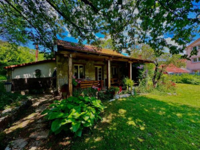 Artistic Garden House